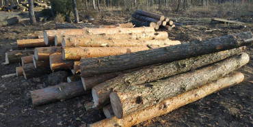 «Підкинули»: Вкрадену на Рівненщині деревину знайшли на Волині (ФОТО)
